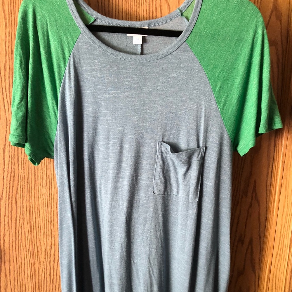 LuLaRoe Carly Swing Dress